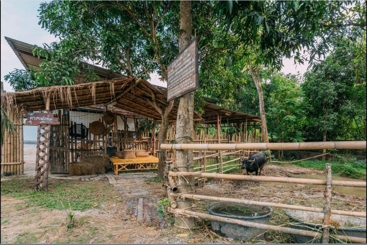 Phuket Nonnita Boutique Resort - Sha Plus Esterno foto